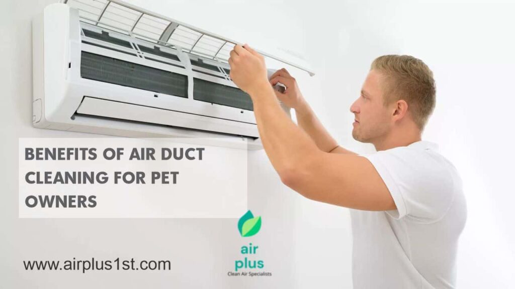 Air Duct Cleaning for Pet Owners